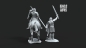 Preview: Grey Castle Captain zu Fuß und beritten 2
